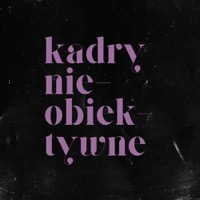 Kadry nieobiektywne